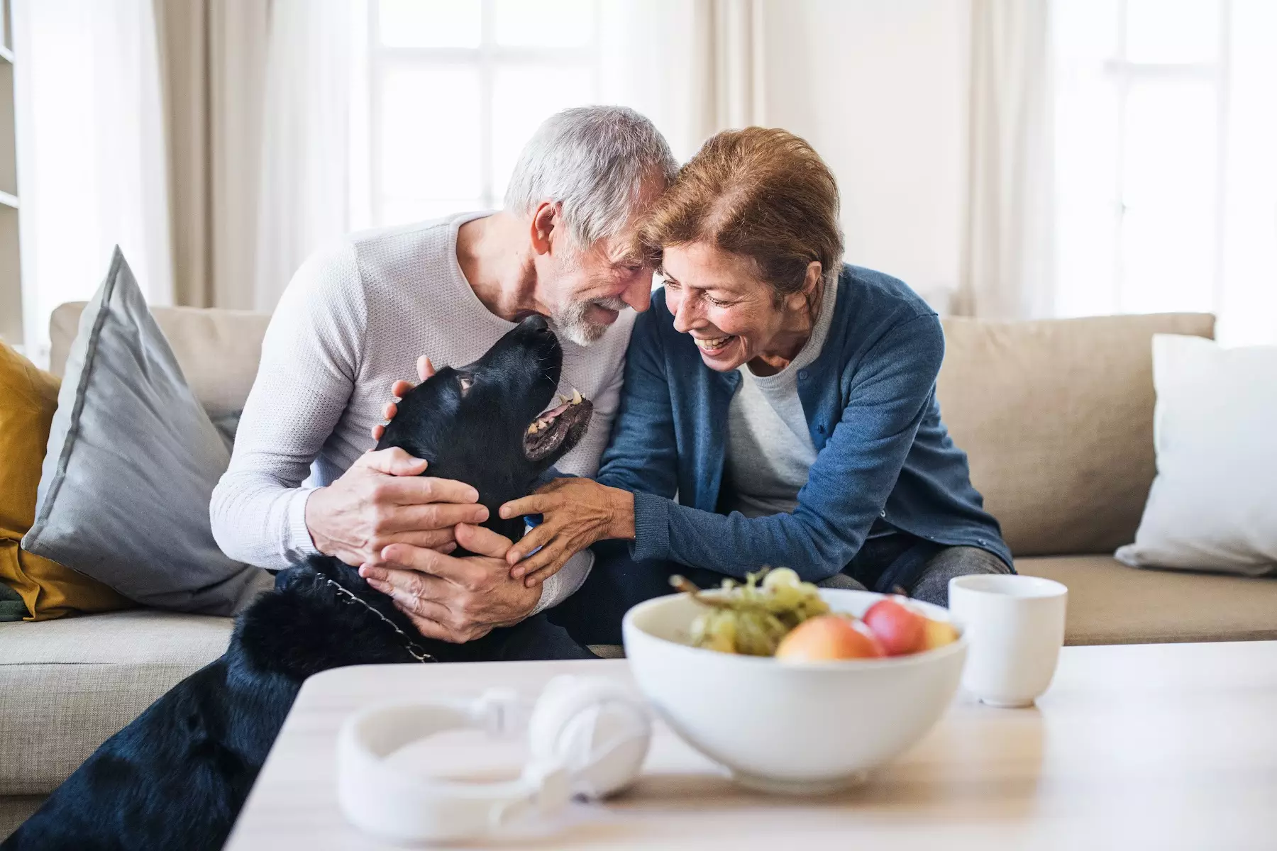 Senior couple with their beloved foster dog